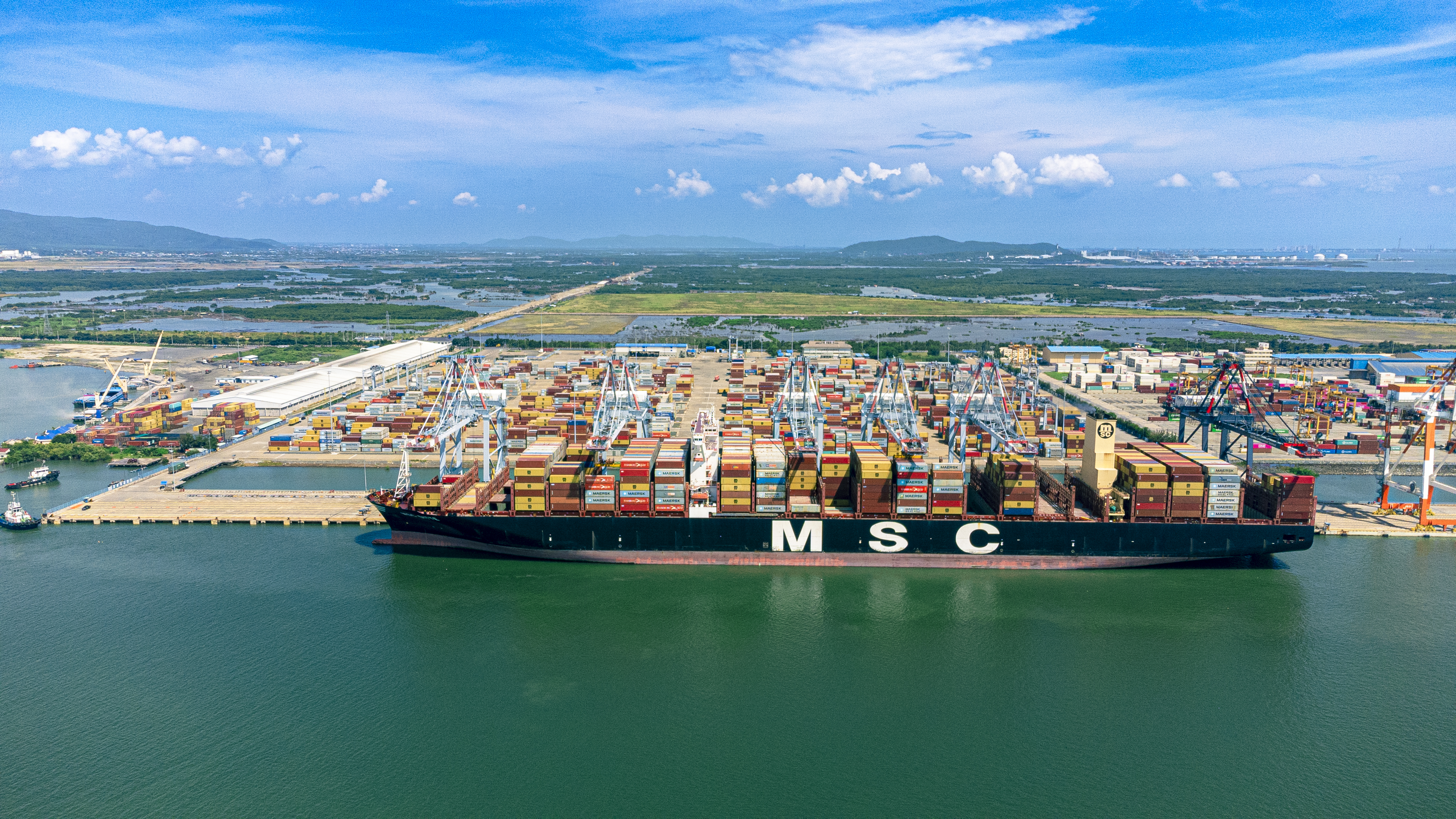 MSC-148